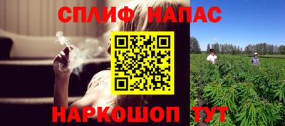 ECSTASY Ливны