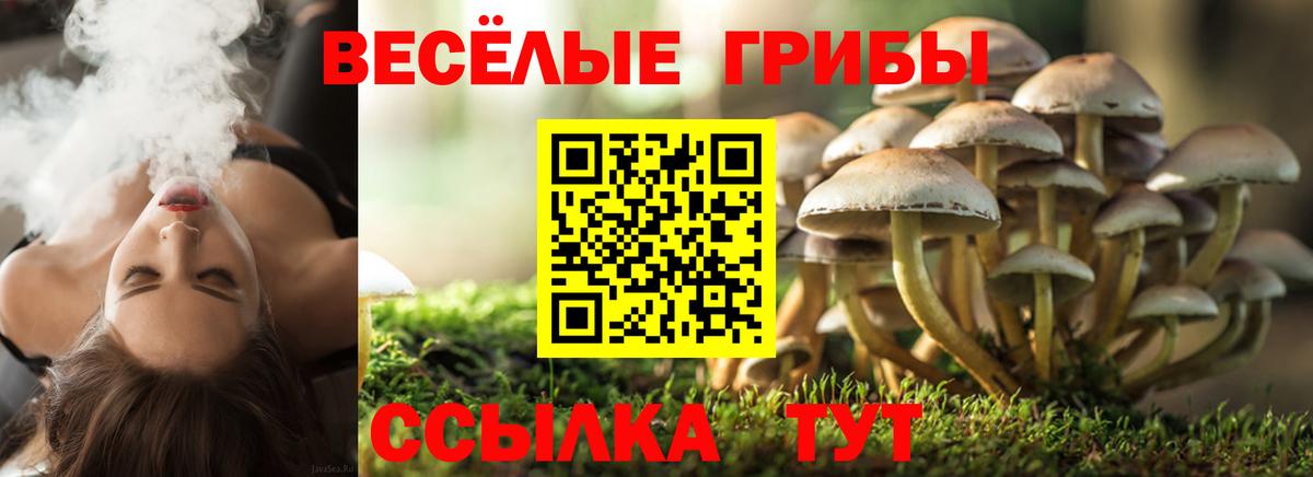 Дмитров  Галлюциногенные грибы ЛСД  Вход с VPN  Псилоцибиновые грибы MAGIC MUSHROOMS 